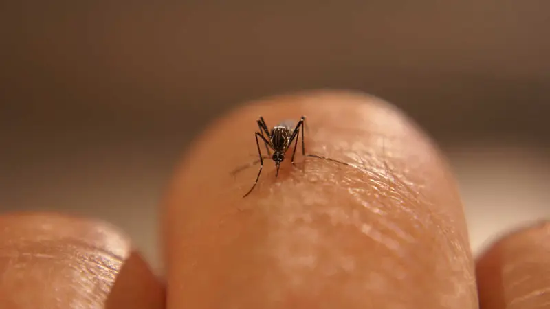 Colombia confirma 3 muertes por Zika