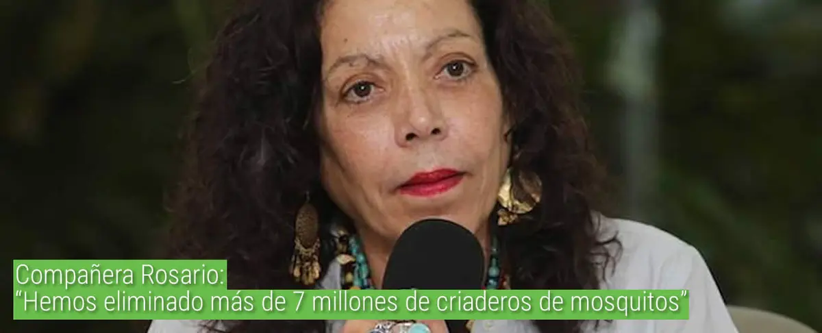 Compañera Rosario: “Hemos eliminado más de 7 millones de criaderos de mosquitos”.