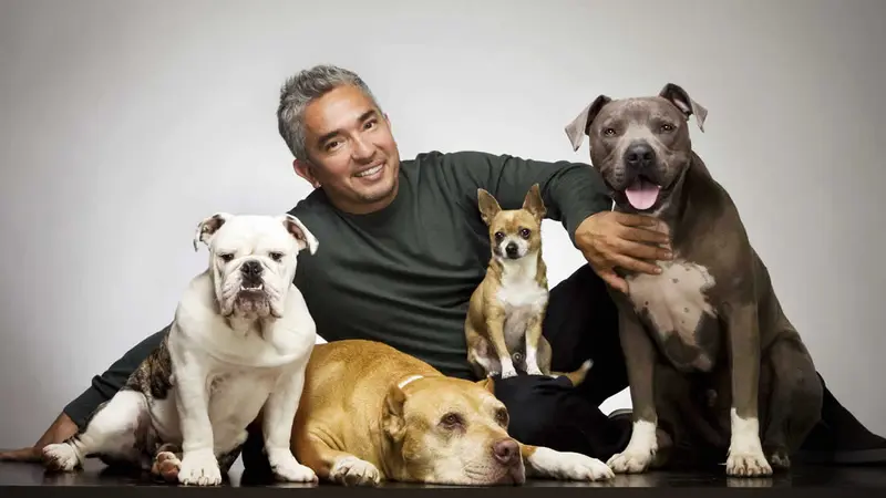 “El Encantador de Perros” es investigado por crueldad animal