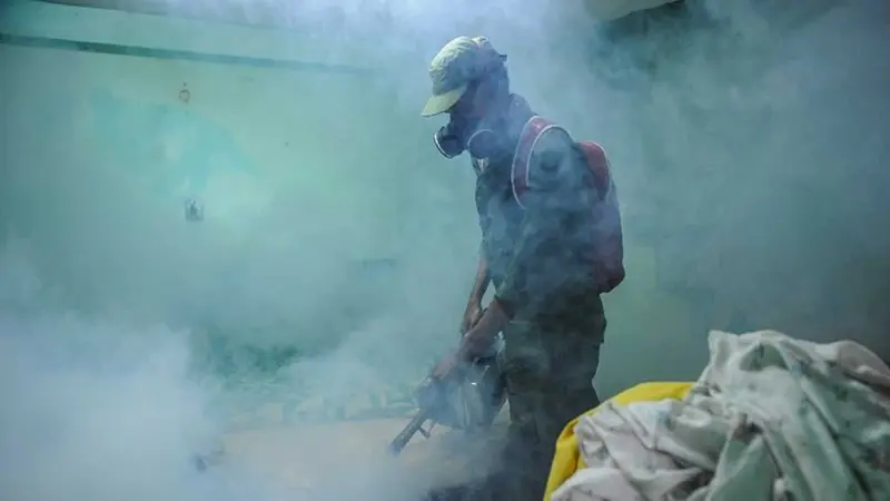 El zika también puede provocar mielitis, grave trastorno de los miembros