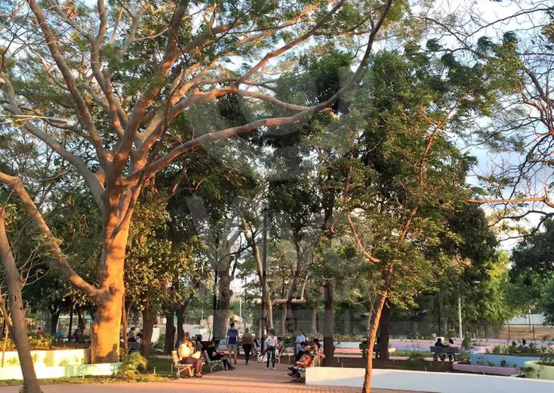 Paseo Campestre “El Vivero”: Un pulmoncito en Managua