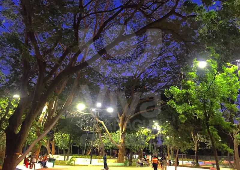 Paseo Campestre “El Vivero”: Un pulmoncito en Managua
