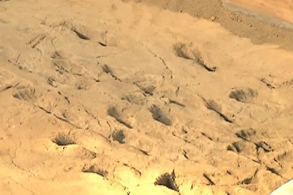 Anuncian obras en el Centro Histórico Huellas de Acahualinca