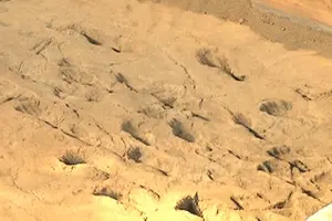 Anuncian obras en el Centro Histórico Huellas de Acahualinca