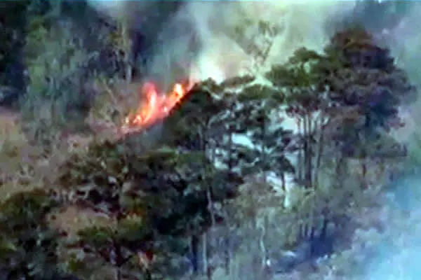 Gran incendio forestal afecta casi 400 Manzanas en San Ramón, Matagalpa