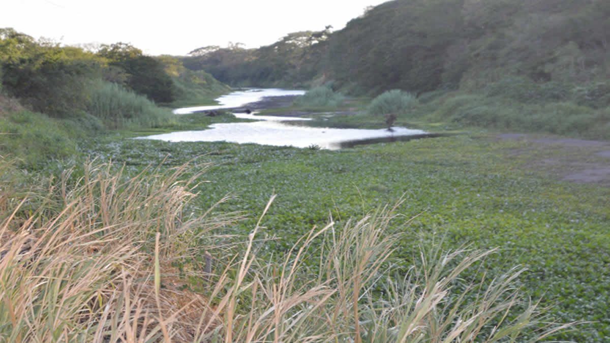 Río 10