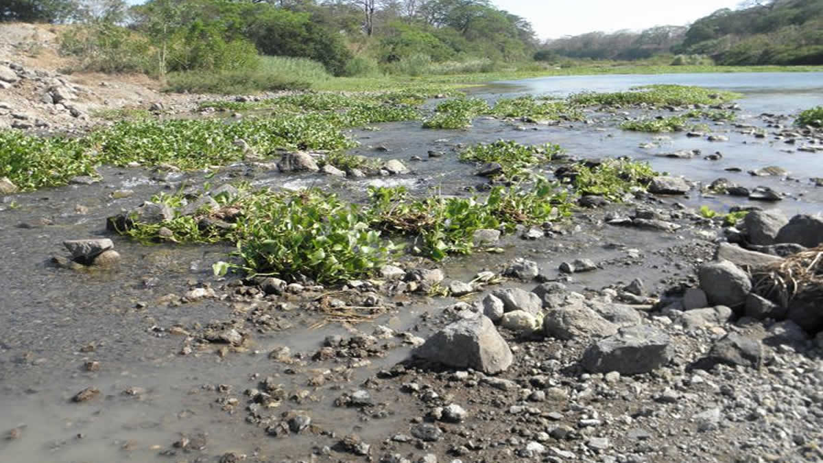 Río 111+