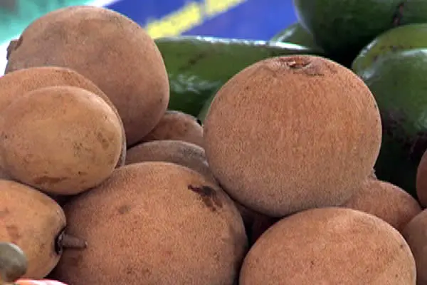 INTA promueve producción y alimentación saludable