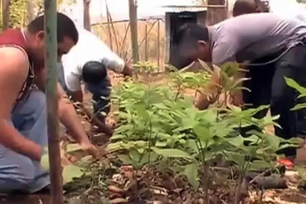 Universitarios de Juigalpa Adoptan un Árbol