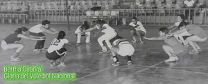 Bertha Cuadra, Gloria del Voleibol Nacional