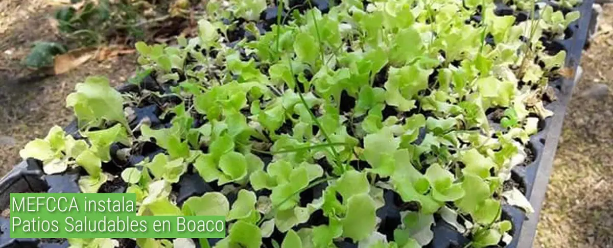 MEFCCA instala Patios Saludables en Boaco