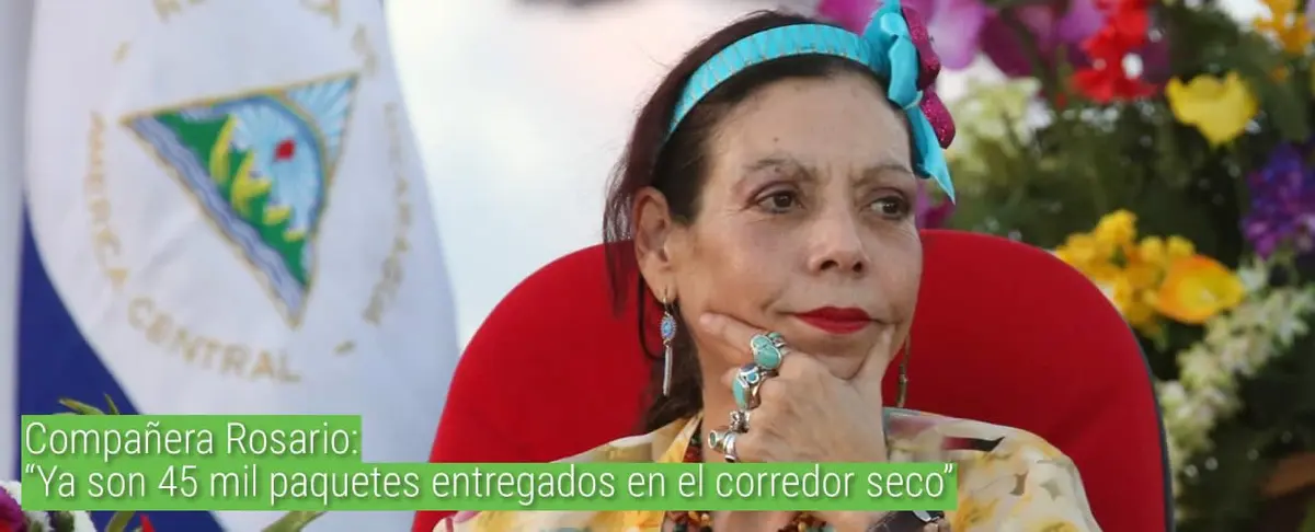Compañera Rosario: “Ya son 45 mil paquetes entregados en el corredor seco”