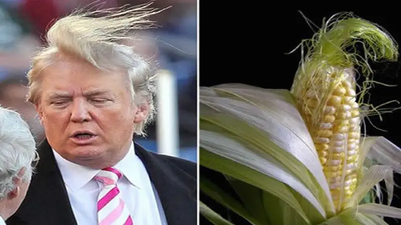 TRUMP01