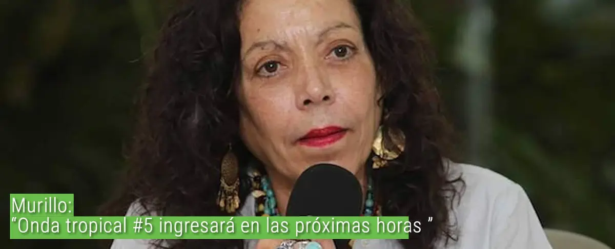 Murillo: "Onda tropical cinco ingresara en las proximas horas"
