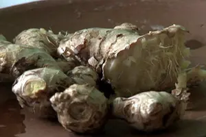Feria de Infusiones, tisanas y cocimientos este fin de semana en el Parque de Ferias