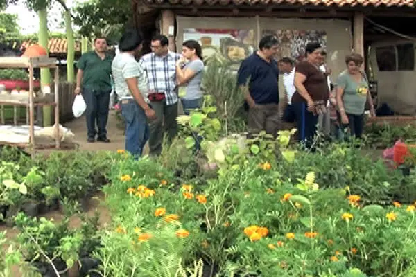 Anuncian nueva Feria de Alimentos Sanos y Medicina Natural