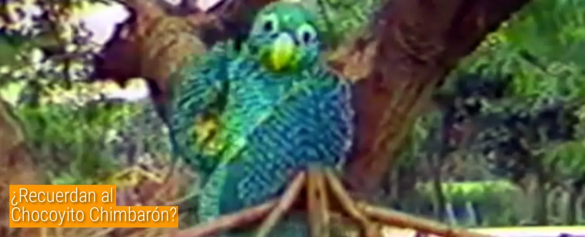 ¿Recuerdan al Chocoyito Chimbarón?
