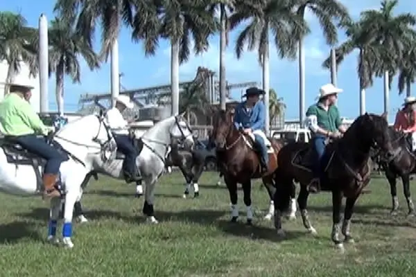 Realizan tradicional Desfile Hípico en Chinandega