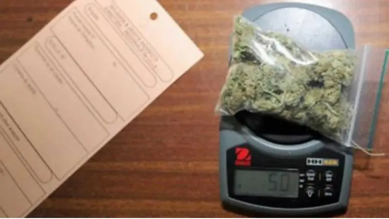 Cómo se realizará la venta de marihuana en Uruguay