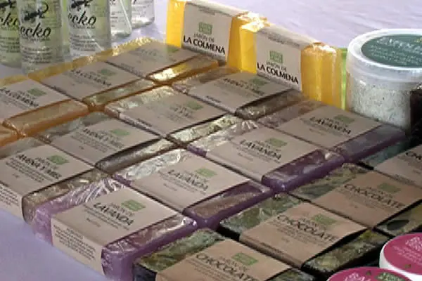 Feria Nacional de la Miel, Beneficios y Propiedades