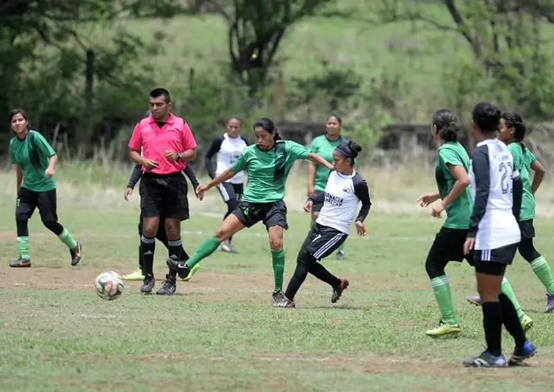 Fenifut anunció la creación de una Segunda División en la liga femenina