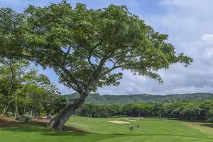 Los mejores golfistas latinoamericanos llegan a Guacalito de la Isla