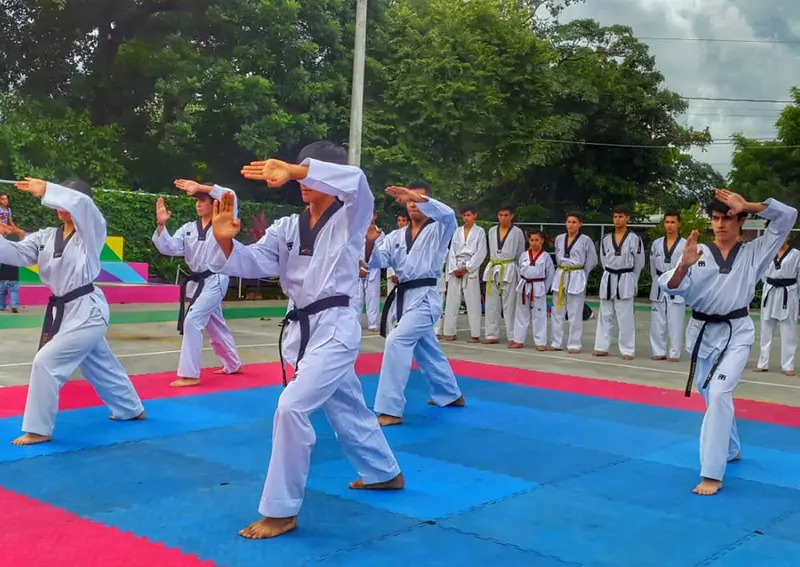 El Taekwondo se apodera del parque "Los Marañones"