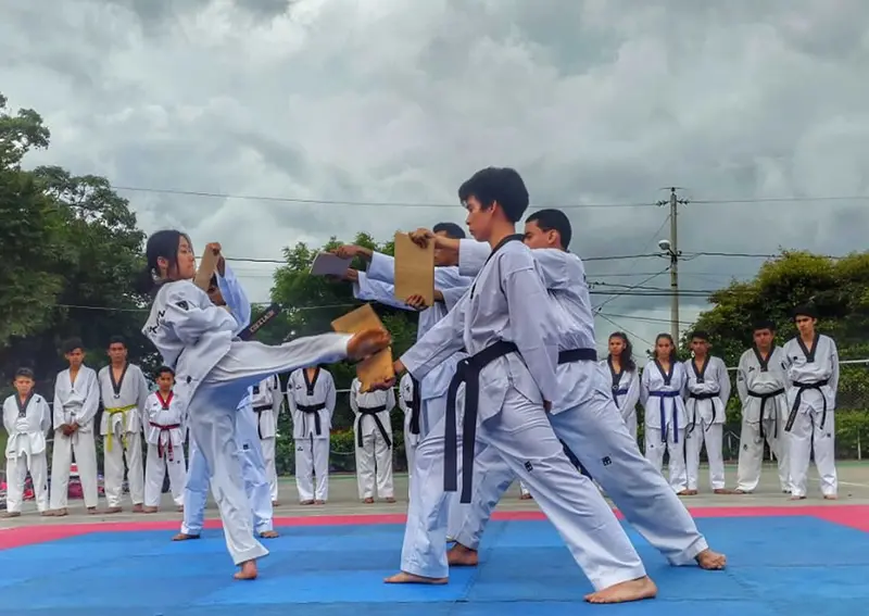 El Taekwondo se apodera del parque "Los Marañones"