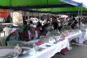 Leoneses disfrutan de la Feria del Dulce Tradicional a la Purísima