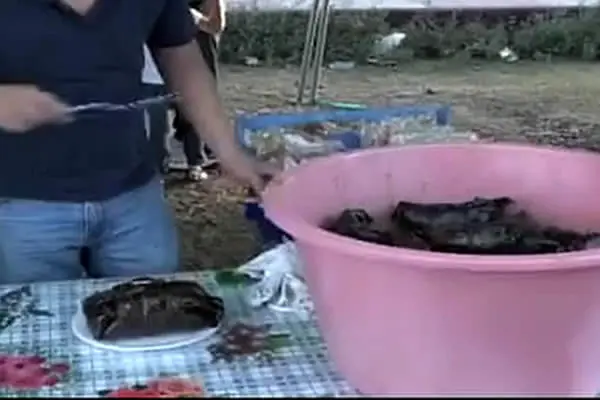 León realiza la Feria del Nacatamal Navideño