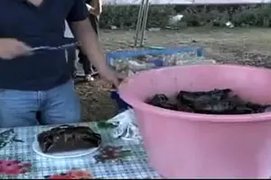 León realiza la Feria del Nacatamal Navideño