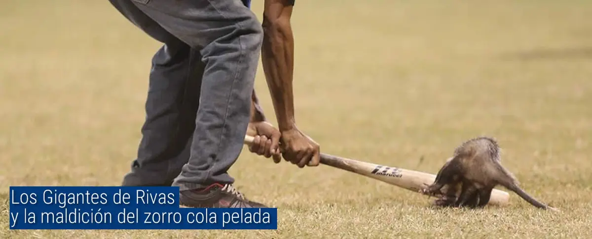 Los Gigantes de Rivas y la maldición del zorro cola pelada