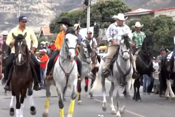 La Trinidad cierra sus Fiestas Patronales con Desfile Hípico