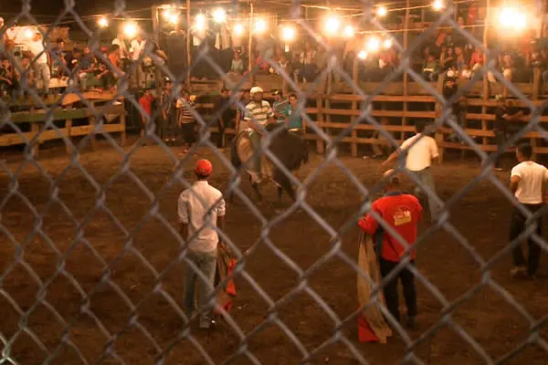 Sabana Grande celebra Fiestas Patronales con Corrida de Toros