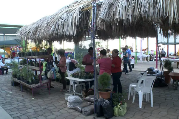 Feria de Medicina Tradicional de los Pueblos, una puerta a las plantas medicinales