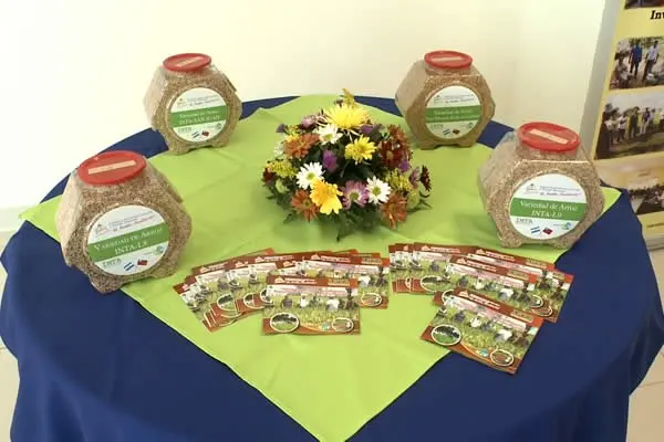 INTA realiza lanzamiento de programa para mejorar productividad en la semilla de Arroz