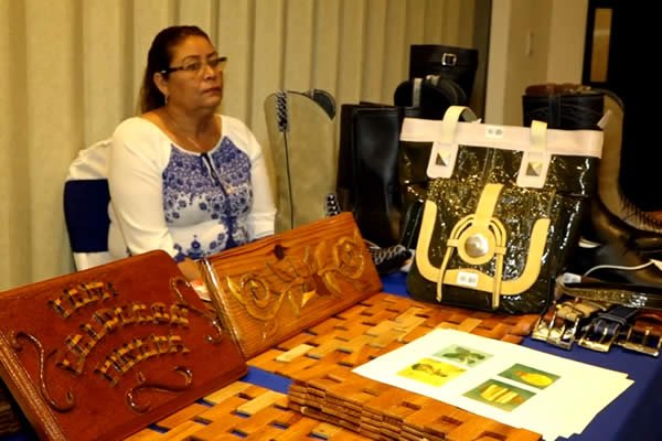 MEFCCA presenta en Estelí el Programa de Emprendimientos Familiares