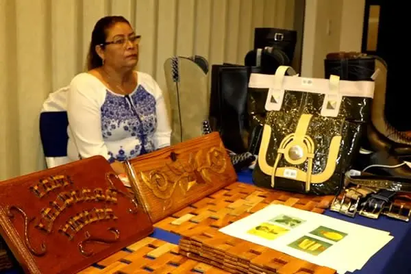 MEFCCA presenta en Estelí el Programa de Emprendimientos Familiares