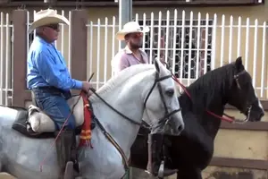 Montados de Nicaragua, El Salvador, Honduras y Nicaragua participan en Hípicas de Chichigalpa