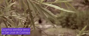 Espantos siembran terror en San José de Cusmapa