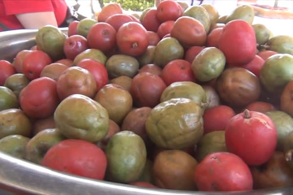 Chinandega realiza Feria de la temporada de Verano