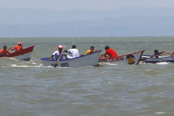 Competencia de botes de remo