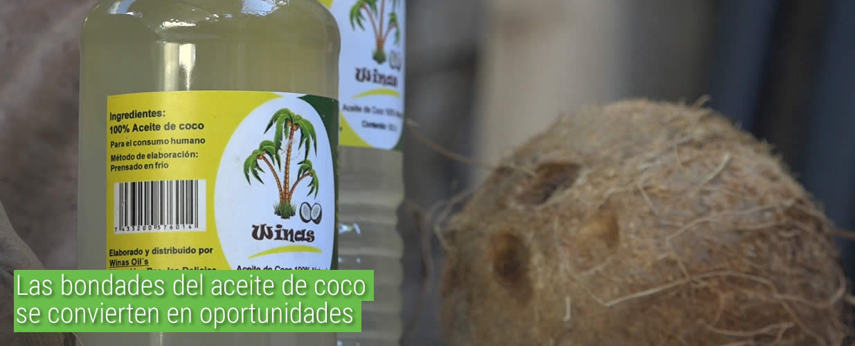 Las bondades del aceite de coco se convierten en oportunidades