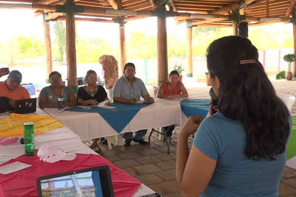 MEFCCA promueve en protagonistas el uso de encuestas en línea