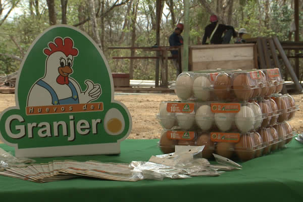 Construyen primera Planta Pasteurizadora de Huevo en Nicaragua