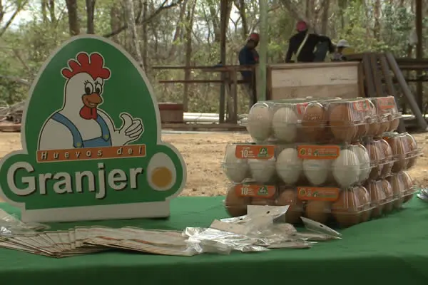Construyen primera Planta Pasteurizadora de Huevo en Nicaragua