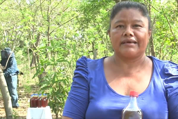 Familia eleva producción agrícola y apícola con apoyo del MEFCCA