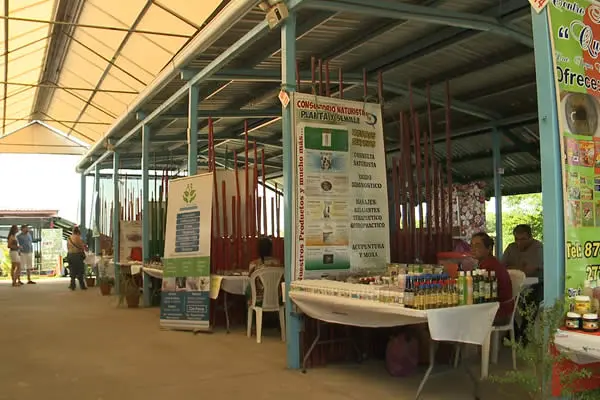 Promueven medicina Natural en el  Parque Nacional de Ferias