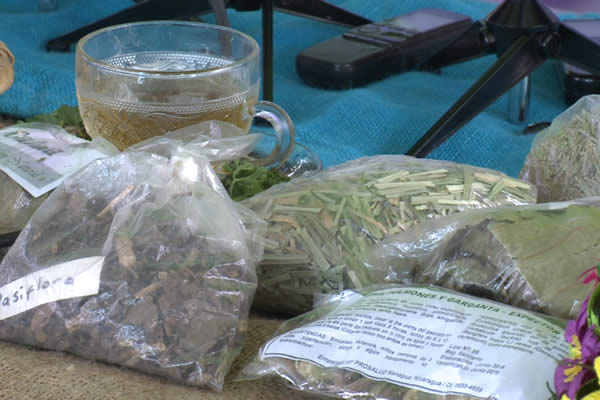 Medicina tradicional de los Pueblos llega nuevamente al Parque de Ferias