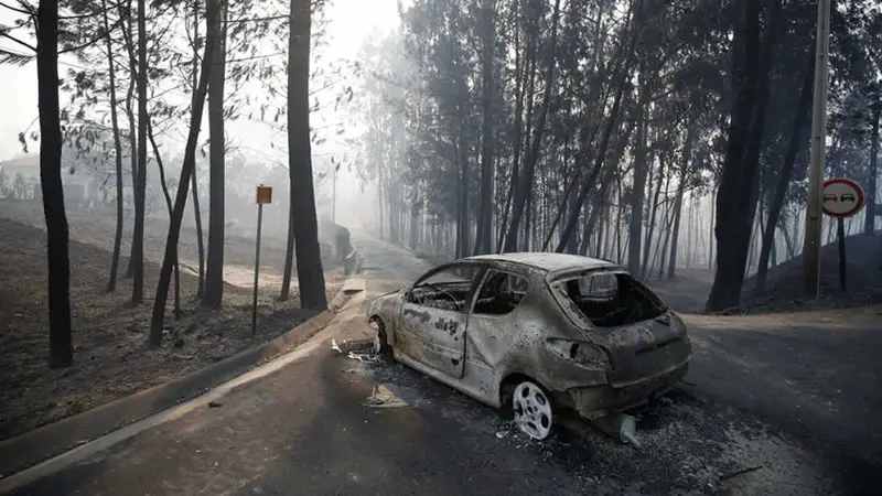 Portugal: Voraz incendio deja muerte y desolación 